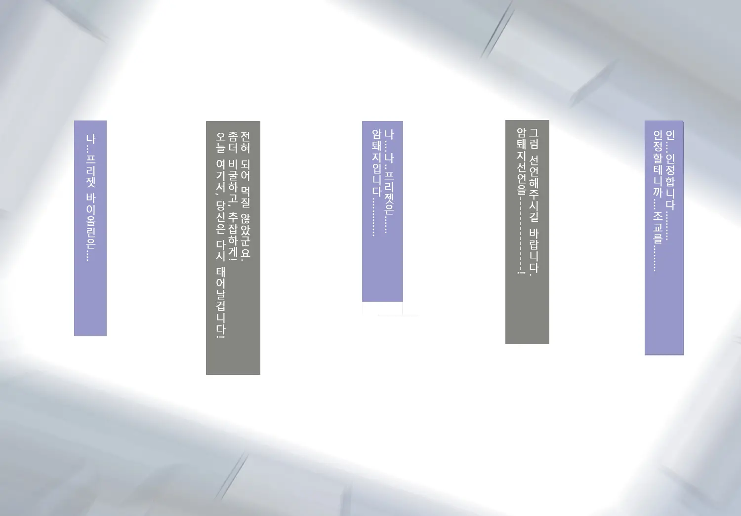 Toraware No Prizet ~Mesubuta Nikutai Inka Kaizou Keikaku~